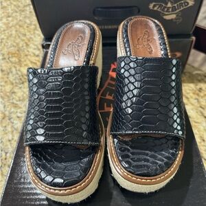 Freebird by Steven Black Croc-Embossed Slide Sandals with Tan Trim